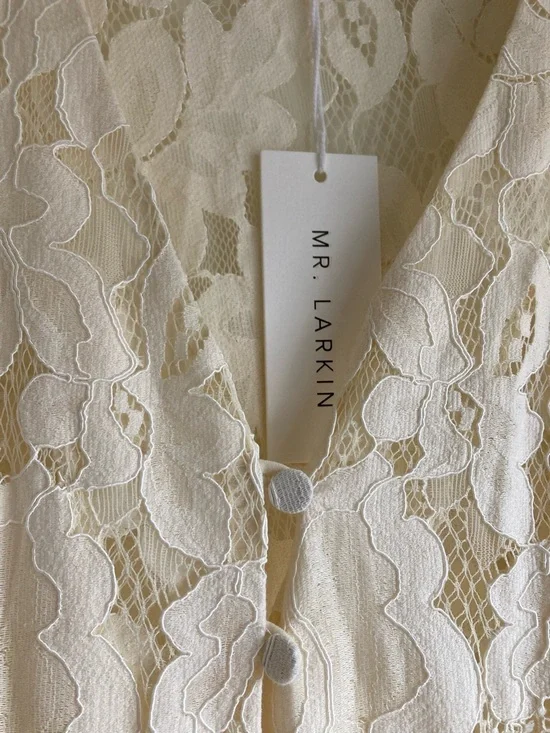 Mr. Larkin The Penny Dress S Small  NWT Ivory Lace V-Neck Long Sleeve Dress - Picture 7 of 12